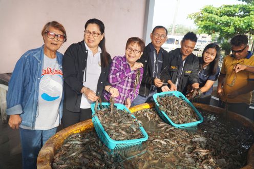 Dir. Remia Aparri (second from left) of the Bureau of Fisheries and Aquatic Resources (Western Visayas) with Southeast Asian Fisheries Development Center consultant Angelita Tillo (leftmost) and other guests after a harvest of tiger shrimp at the Dumangas Brackishwater Station last Nov. 13, 2019.