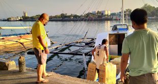 Shipment of milkfish fry