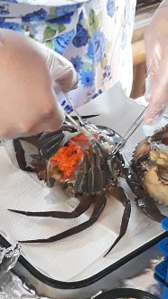 Weak crab with highly discolored (black) gills