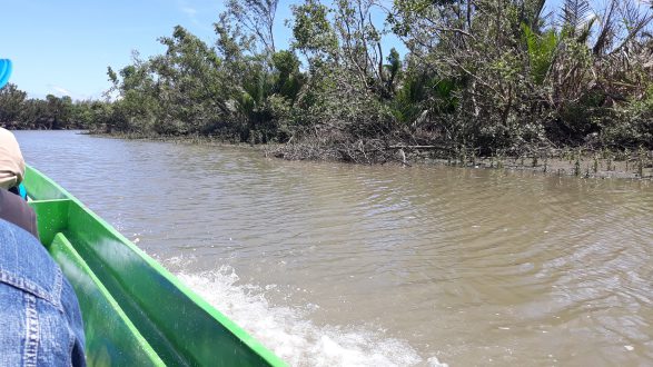 Turbid Panay River
