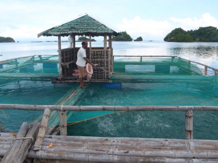 milkfish grow-out cage