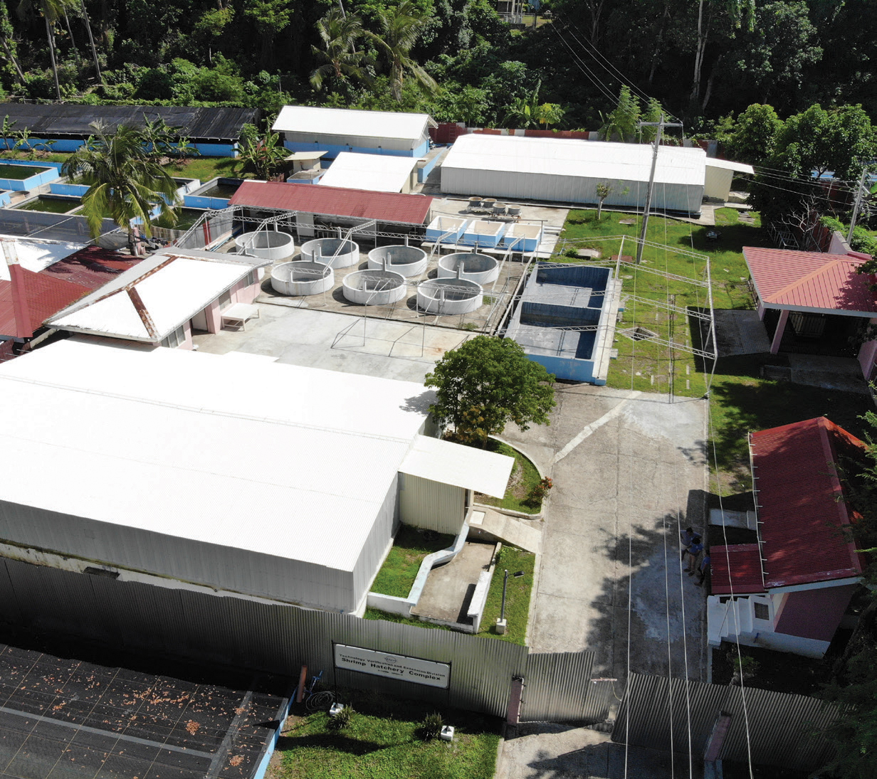 bio secure shrimp hatchery